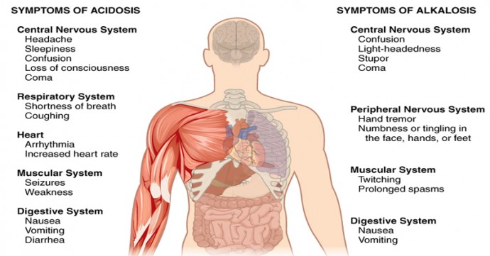 When Your Body Is Too Acidic, Learn To Quickly Alkalize It! acidic-alkaline-body