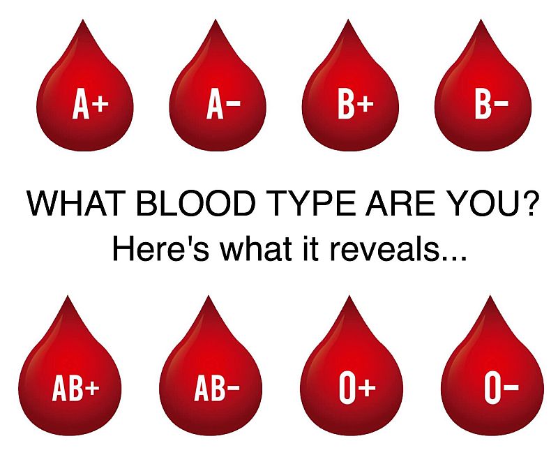 What Does Your Blood Type Reveal About Your Personality? blood type personality