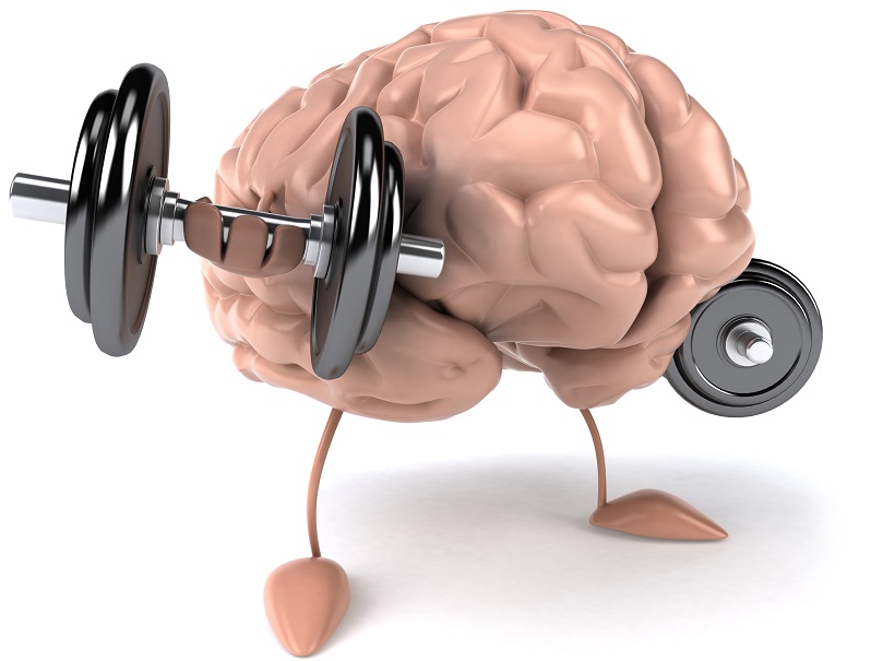 Study Finds Muscle and Strength Can Be Maintained Using Just Your Mind brain-excersizes