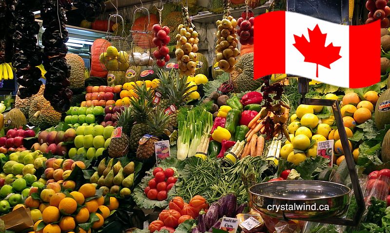 Canada’s Surprising New Proposed Health Guide Favors Plant-Based Foods and Ignores Industry Input canada health