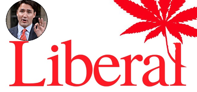 cannabis/canada-liberal-marijuan
