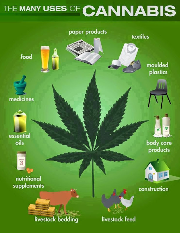 cannabis-uses