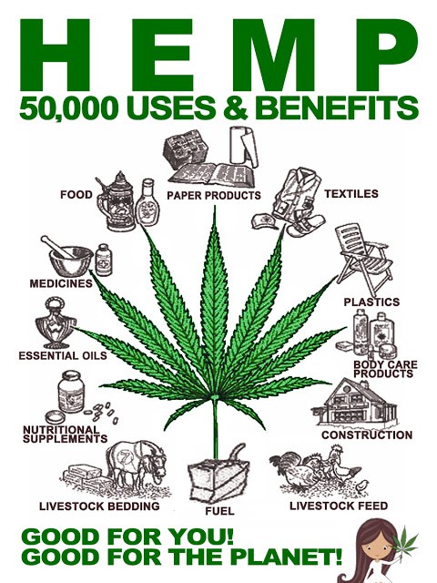 hemp-uses-and-benefits-good-for-you-and-the-planet