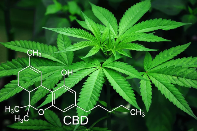 CBD vs. THC: Molecular differences