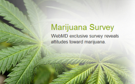 marijuana_survey
