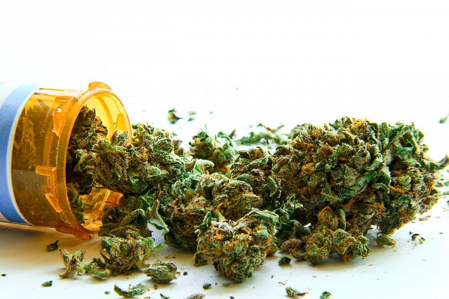 Medical Marijuana Users Are Quitting Prescription Drugs in Huge Numbers