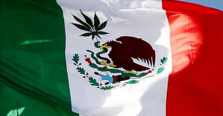 mexico-marijuana