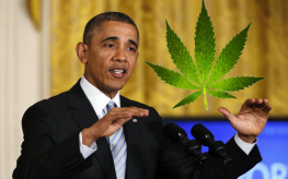 obama_president_marijuana
