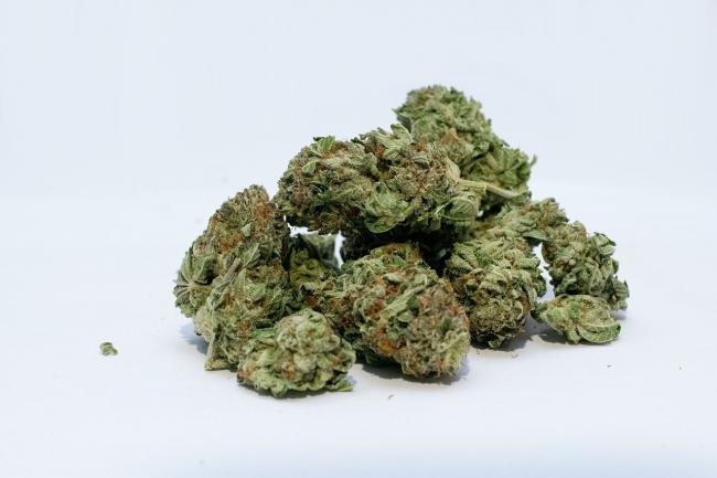CBD can help increase the focus of the trainer CBD can help increase the focus of the trainer