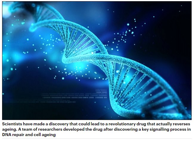DNA Repair dna repair
