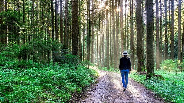 forest bathing