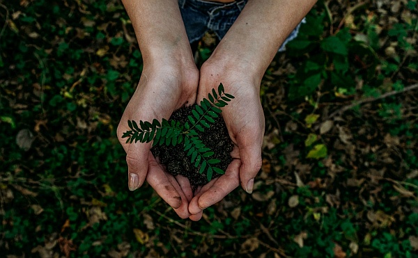 How Technology Can Help Reduce Our Impact on the Planet How Technology Can Help Reduce Our Impact on the Planet