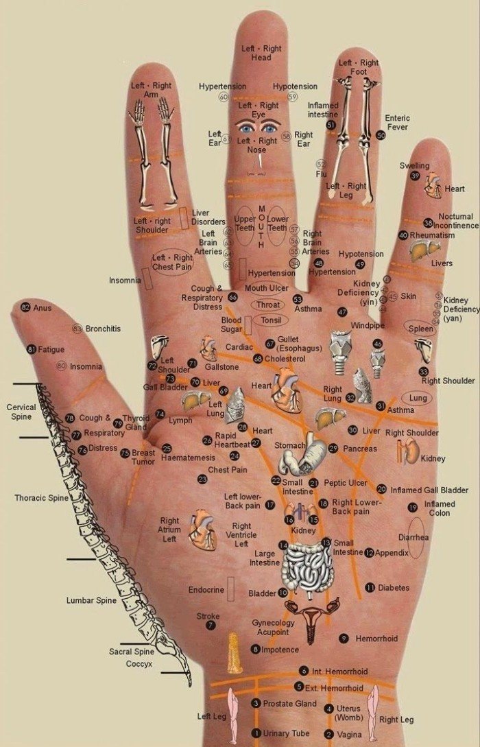 Every Body Part Is In The Palm Of Your Hand – Press The Points For Wherever You Have Pain