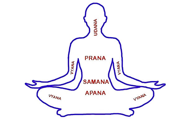 Importance Of Direction Of Sleep According To Hindu Dharma Importance Of Direction Of Sleep According To Hindu Dharma