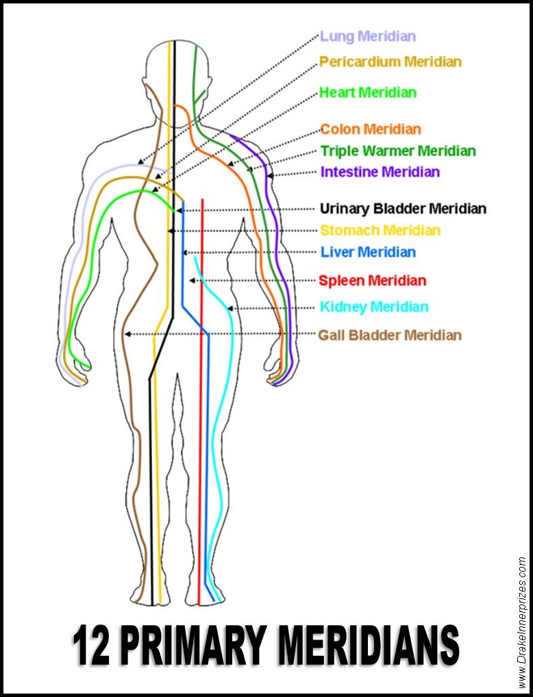 meridians