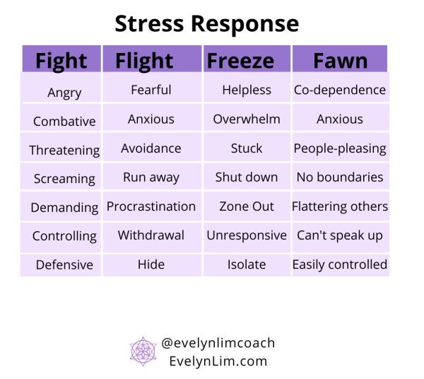 What is the Fight-Flight-Freeze-Fawn Stress Response