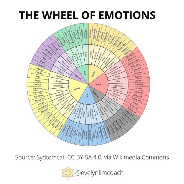 Build Emotional Mastery: What is Emotional Labeling and Differentiation