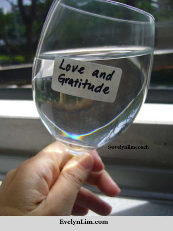 water programming love gratitude