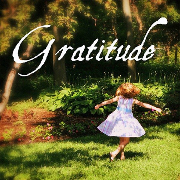 Gratitude Not Working For You?