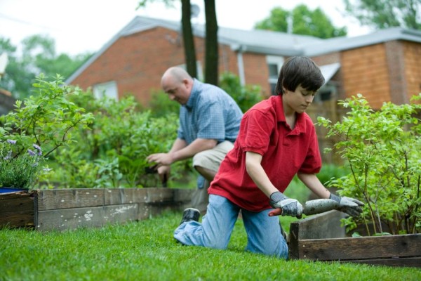 Turn Your Garden Into Healthy Organic Food Space