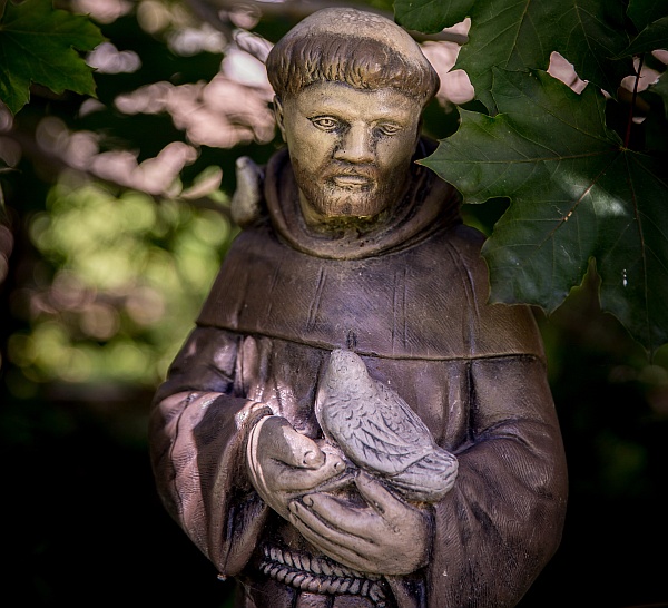 The Prayer Of St. Francis