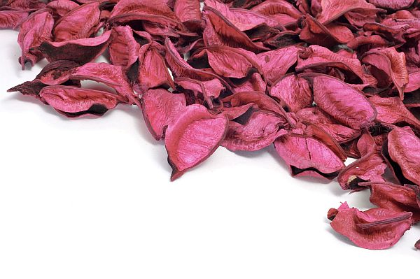 dried-red-rose-petals