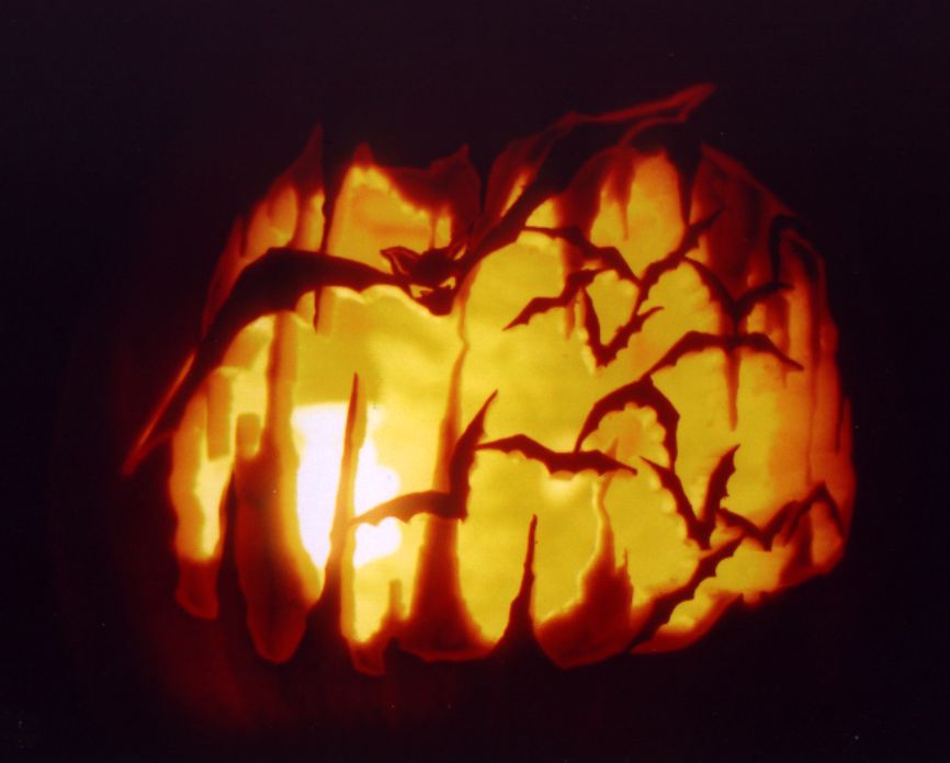 Bats - Myths, Folklore and Facts Bats - Myths, Folklore and Facts