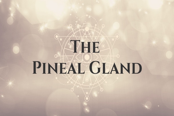 The Pineal Gland: Its History, Symbolism And Physical Functionality