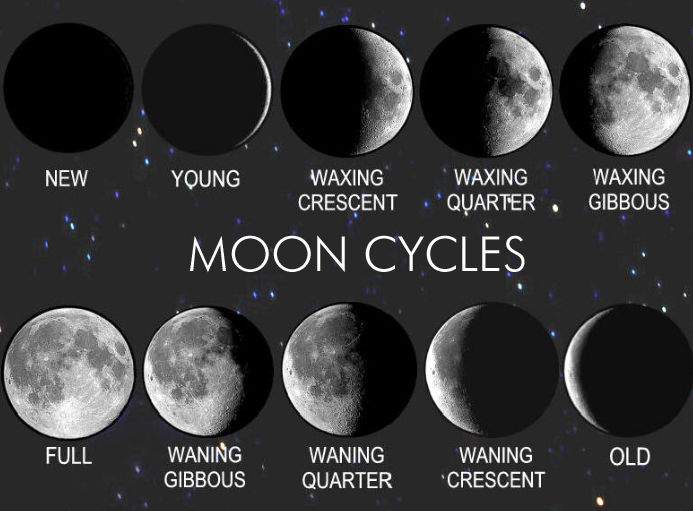 moon phases