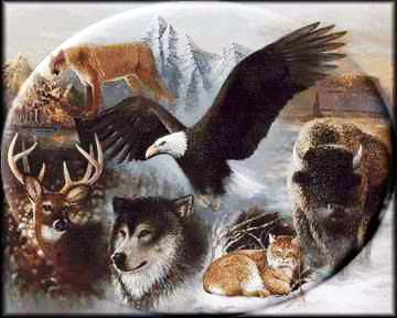 Power Animal power_animal