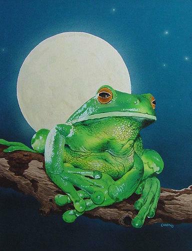 Frog-Moon