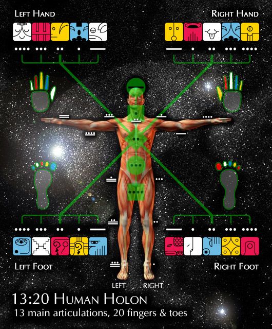 Human Holon humanholon