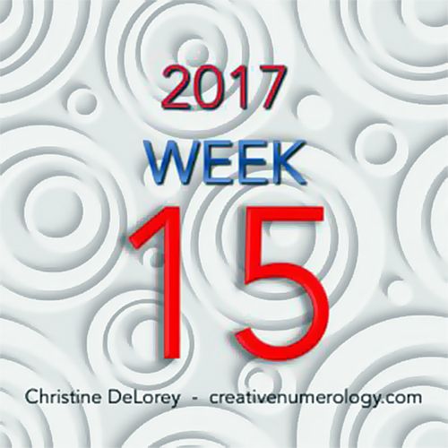 2017 ~ WEEK 15 week 15