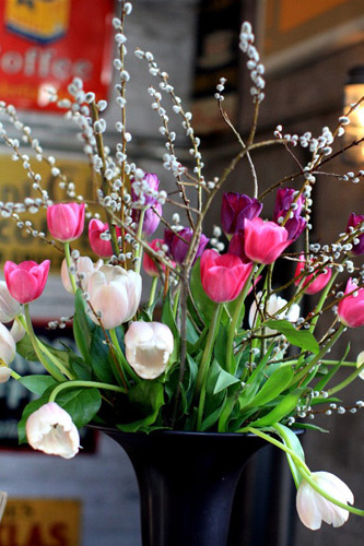 Spring Flowers to Welcome  Spring
