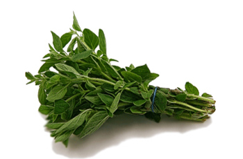 oregano