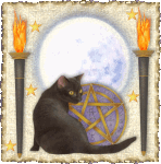 samhain_black_cat