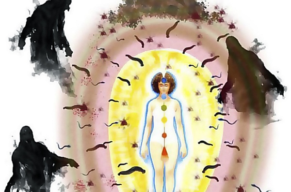 Astral Worms/Larvae Astral Worms/Larvae