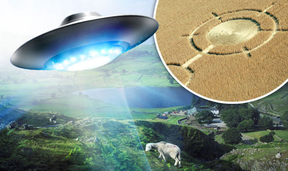 ufos mutaliation cropcircle