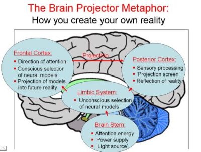 brain-projection