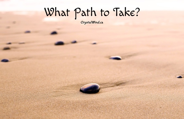 A Guide to Dealing with Uncertainty About What Path to Take