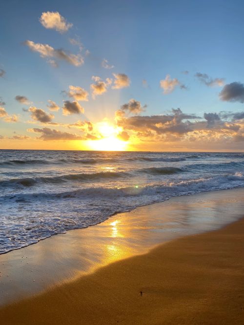 The Sun, and the Light The Sun, and the Light