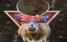 New Moon in Taurus, May 19th, 2023 - Physical Expansion
