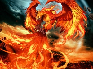 2017 Fire Phoenix (Rooster) Year