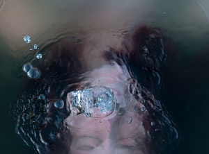 Venus Enters Scorpio, November 21, 2020 - Underwater Love