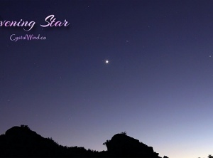 Venus Capricorn Evening Star Journey