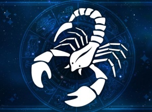 Sun Visits Scorpio - 2020