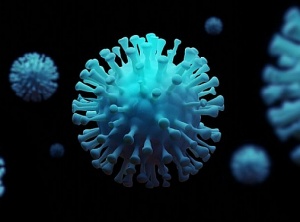 Coronavirus Pandemic