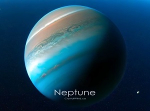 Neptune Stations Direct