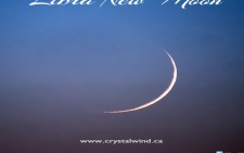 New Moon Update 10-16-2020