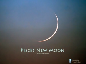 New Moon Update 3-2-22